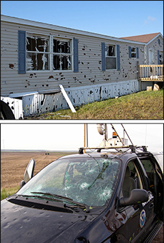 Photos of hail damage to a mobile home and to a car.