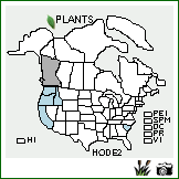 Distribution of Hordeum depressum (Scribn. & J.G. Sm.) Rydb.. . Image Available. 