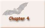 Chapter 4 button.
