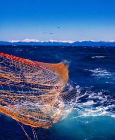 Setting a trawl