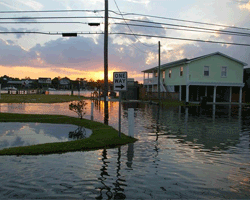 Flooded coastal area