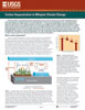 Carbon Sequestration to Mitigate Climate Change