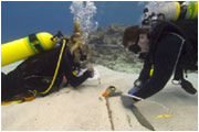 Student with argo crab