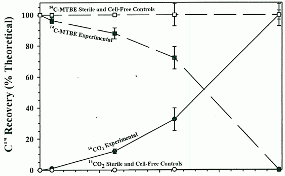 Diagram showing the microbial community beneath the stream in the hyporheic zone rapidly degrades MTBE into carbon dioxide.