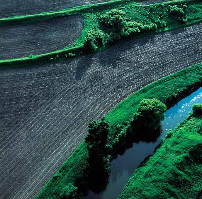 terraced farm aerial view