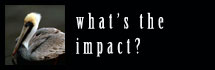 What's the Impact?