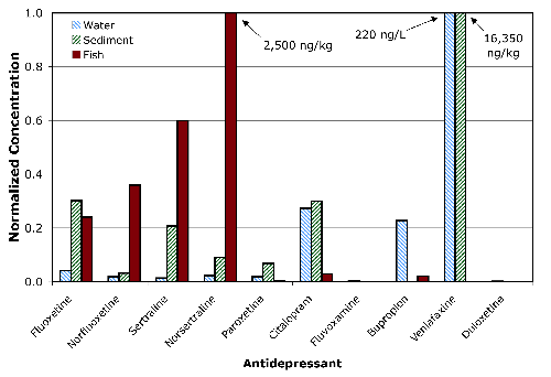 Average concentrations of antidepressants in water, sediment, and fish neural tissue from Boulder Creek just below the point where wastewater from a sewage treatment plant is discharged (USGS Site ID 400305105103901). Since concentration units differed for each sample type, the concentrations were normalized to the highest single antidepressant concentration in each sample type (highest concentration was set to equal one). The graph shows that fish selectively absorb some antidepressants more than others.