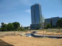 In 2010, after the dam and retaining walls were removed, the new channel was constructed with riffles and pools