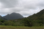 The Department of Land and Natural Resources and the U.S. Army Corps of Engineers broke ground today on the Kawainui Marsh Environmental Restoration Project in Kailua, O‘ahu. The project will increase populations of endangered waterfowl, create scenic open space, reduce upland runoff to coastal reefs and remove invasive weeds from the marsh. 