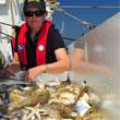 woman and seafood on boat