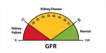 A graphic of a speedometer-like dial that depicts GFR results of 0 to 15 as kidney failure, 15 to 60 as kidney disease, and 60 to 120 as normal.