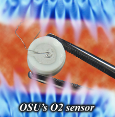 OSU's O2 Sensor