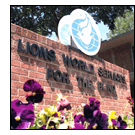 Lions World Services