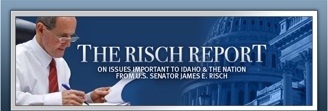 The Risch Report