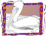 Pelican