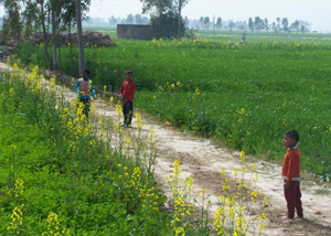 Three children walking down a dirt road with green fields on each side