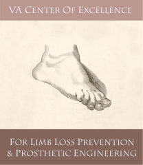 Logo of the VA CoE for Limb Loss Prevention & Prosthetic Engineering