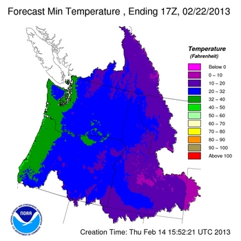 Day 8 Min Temperature Forecast