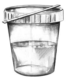 Drawing of a urine sample in a cup and a dipstick for testing the protein content of the urine.