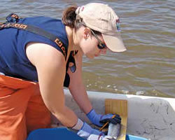 Sea Grant scientist pilots boat on sea trout study