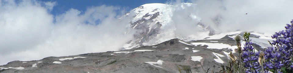 Mount Rainier peeks through clouds, viewed across subalpine wildflowers and glacial moraine.