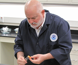 Steve Wilson inspects seafood