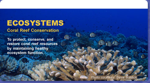 Coral Reef Conservation