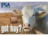 The Farm Service Agency's (FSA) electronic Hay Net Ad Service (HayNet) is an Internet - based service allowing farmers and ranchers to share 'Need Hay' and 'Have Hay' ads online.
