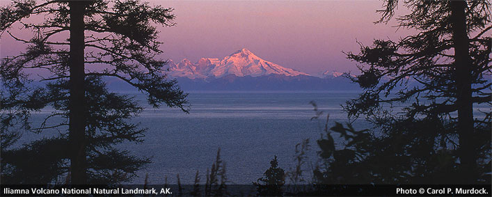 Iliamna Volcano, Alaska. Photo by Carol P. Murdock.