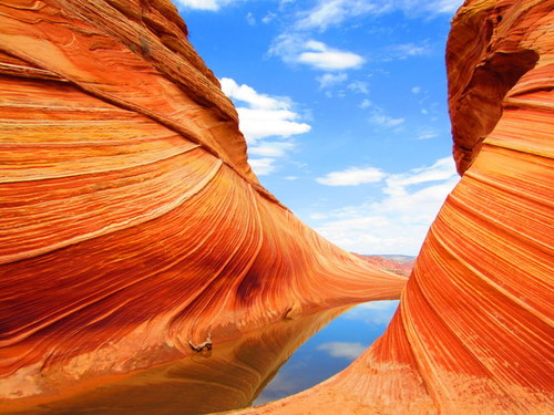 Before highways and railways, before pioneers, even before Columbus&#8230;..the land we know as the United States was truly a vast wilderness. To protect these last remaining areas, in 1984 Congress created the Paria Canyon - Vermilion Cliffs Wilderness. Coyote Buttes&#8217; outstanding scenery, desert wildlife, colorful history, and opportunities for primitive recreation will remain free from the influence of man and are protected in this condition for future generations. Its 112,500 acres beckon adventurers who yearn for solitude, scenic splendor, and the chance to explore one of the most beautiful geologic formations in the world.Photo: Adam Marland 