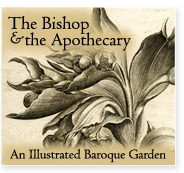 The Bishop & the Apothecary