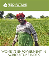 Women's Empowerment in Agriculture Index
