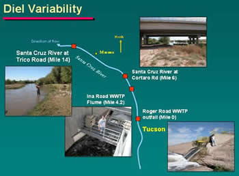 Diel Variability figure