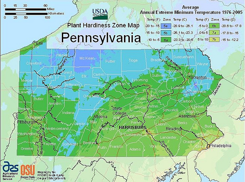 The 2012 USDA Plant Hardiness Zone Map is the standard by which gardeners and growers can determine which plants are most likely to thrive at a location.