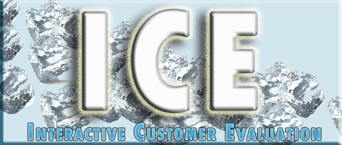 ICE - Interactive Customer Evaluation System
