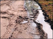 Photo of mud slide.