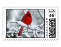 Red Cardinal in the Snow Custom Postage