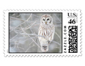 White Owl Custom Postage