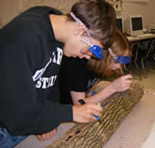 [photo:] Students examining external symptoms on an ash log