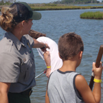 A park ranger offers helpful tips to a young visitor using a seine net to collect marine organisms that thrive in the marshes and bay.