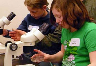 Students looking through microscopes