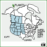 Distribution of Lupinus argenteus Pursh. . Image Available. 
