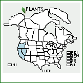 Distribution of Lupinus ×inyoensis A. Heller (pro sp.) [caudatus × palmeri]. . 
