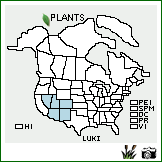 Distribution of Lupinus kingii S. Watson. . Image Available. 