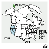 Distribution of Lupinus nevadensis A. Heller. . Image Available. 
