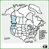 Distribution of Lupinus polycarpus Greene. . Image Available. 