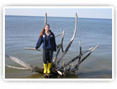 The book examines south Florida’s coastal region from Martin County on the east coast to Charlotte County on the Gulf of Mexico coast. South Florida’s entire marine environment is closely linked to upland and upstream influences, such as the Greater Everglades Ecosystem and the Gulf of Mexico. (Credit: University of Maryland's Integration and Application Network [IAN])