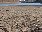 Dried riverd bed.