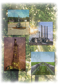 Carbon Sequestration Collage