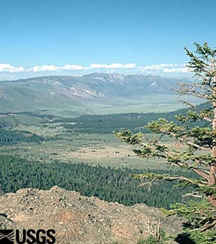 Photo of the northern rim of Long Valley Caldera.